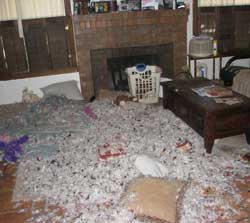 After the pillow disaster