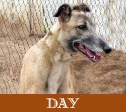 Day