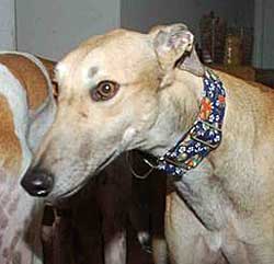 Doby