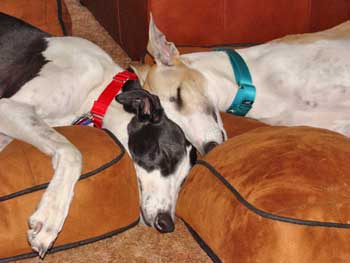 Rowena and Penny