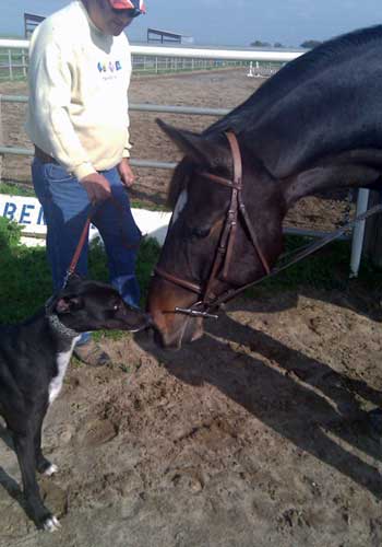 Pierski at his new home