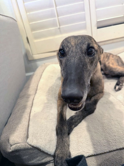 Carter
